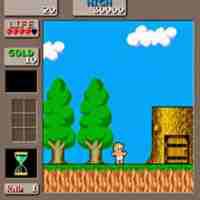 play Wonder Boy 2: In Monster…